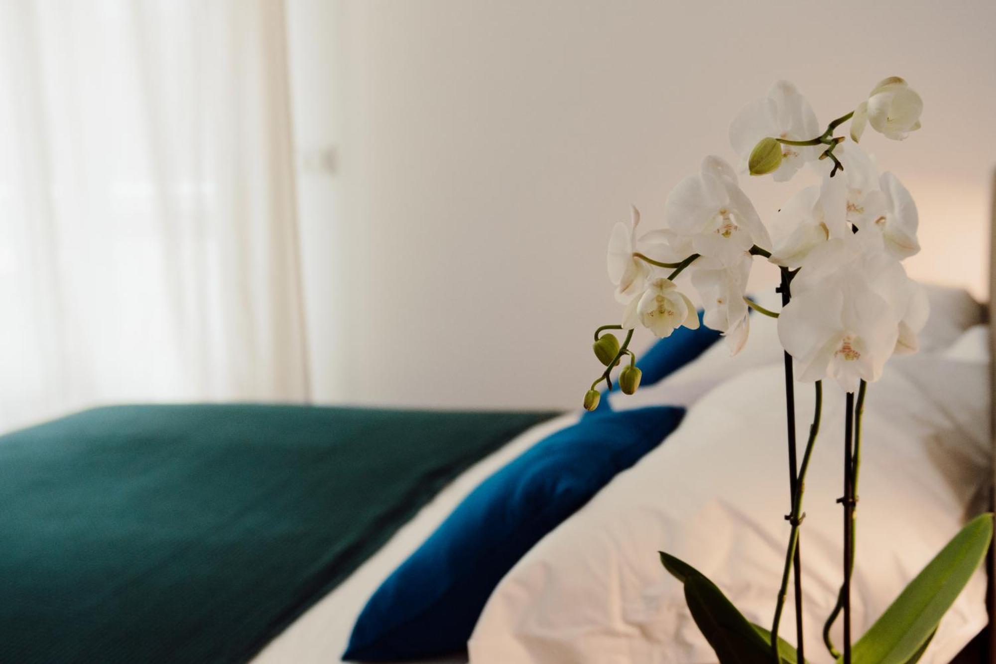 Hotel Sweet Dreams Civitavecchia Exteriér fotografie